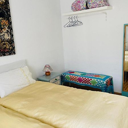 Piso Junto Universidad Y Hospital Clinico Zaragoza Dış mekan fotoğraf